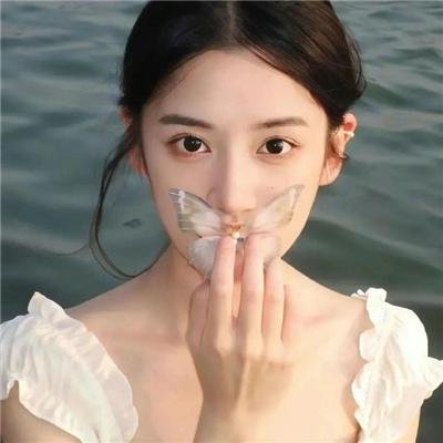 左轮百合